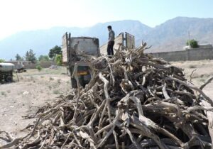 کشف ۱۰ تن چوب فاقد مجوز در کرمانشاه
