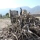 کشف ۱۰ تن چوب فاقد مجوز در کرمانشاه