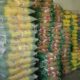 کشف ۵۰ تُن برنج و ۱۰ تُن کود احتکاری به ارزش ۸۶۰ میلیارد در حمیدیه