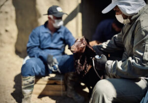۱۴ اکیپ قرنطینه‌ای مقابله با تب برفکی در محورهای مازندران مستقر شدند