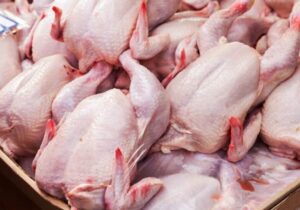 چراغ سبز به صادرات گوشت مرغ / قیمت‌ها در بازار داخلی بالا می‌رود؟