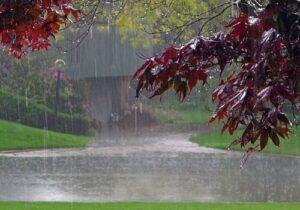 رگبار باران در ۱۱ استان