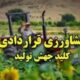 سامانه «سیتا» تا هفته آینده در کشور فعال می‌شود