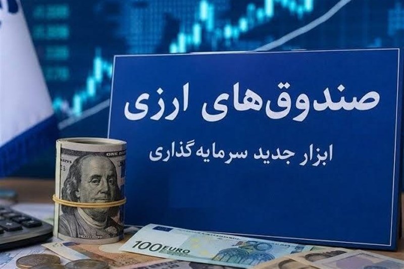 جذب ارزهای راکد مردمی در صندوقهای ارزی برای 5 سالِ کشور کافی است