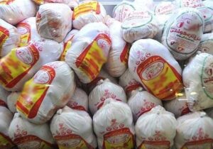 خرید حمایتی مرغ با قیمت 335 هزار تومان آغاز شد