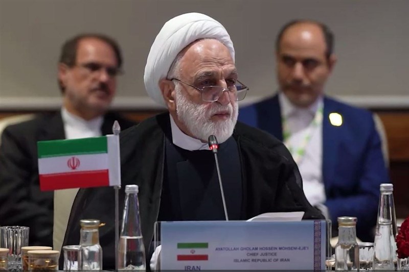 درخواست اژهای از اعضای بریکس: عاملان جنایت علیه ایران را تعقیب کنید