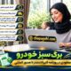 برگ سبز خودرو از چاپ آگهی مفقودی در روزنامه کثیرالانتشار تا صدور المثنی
