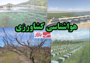 تشدید فعالیت سامانه‌‎های بارشی و سیل‌آسا؛ هشدار به کشاورزان ۸ استان