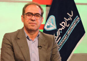 سالانه بیش از ۸ میلیون نوبت‌سر دام در ایلام واکسیناسیون انجام می شود