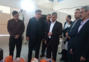 ۳۶ تن فرآورده دامی فاسد در همدان از چرخه مصرف حذف شد